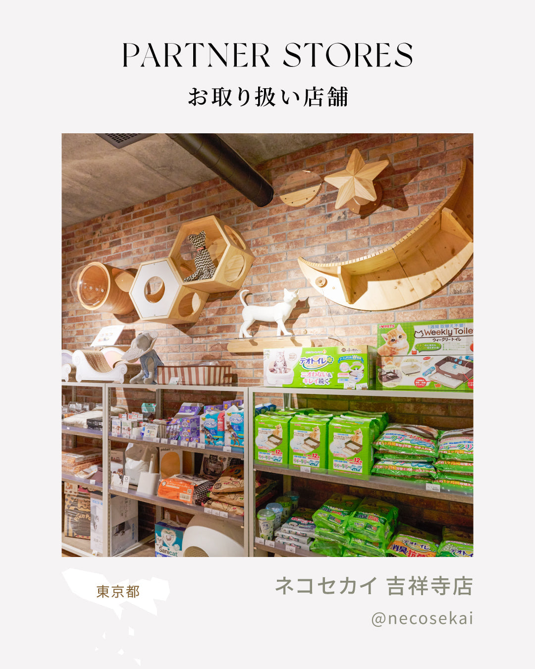 MYZOO取扱店舗|ネコセカイ 吉祥寺本店(東京)