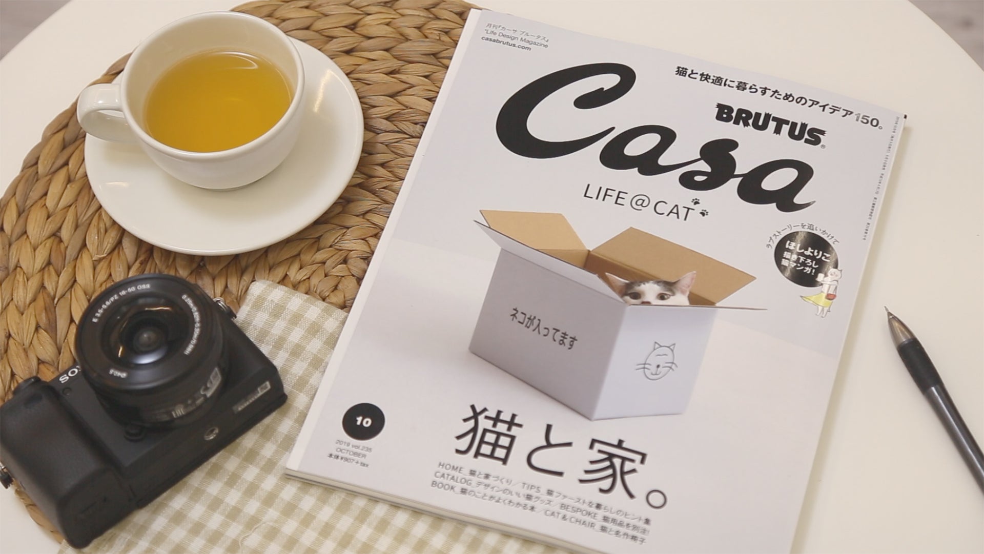 【中古】Casa BRUTUS(カーサ ブルータス) 2019年 2月号 [理想の家のつくり方]