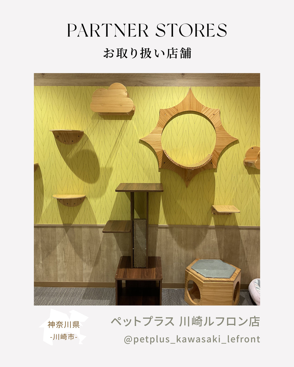MYZOO取扱店舗情報 |ペットプラス 川崎ルフロン店(神奈川県)