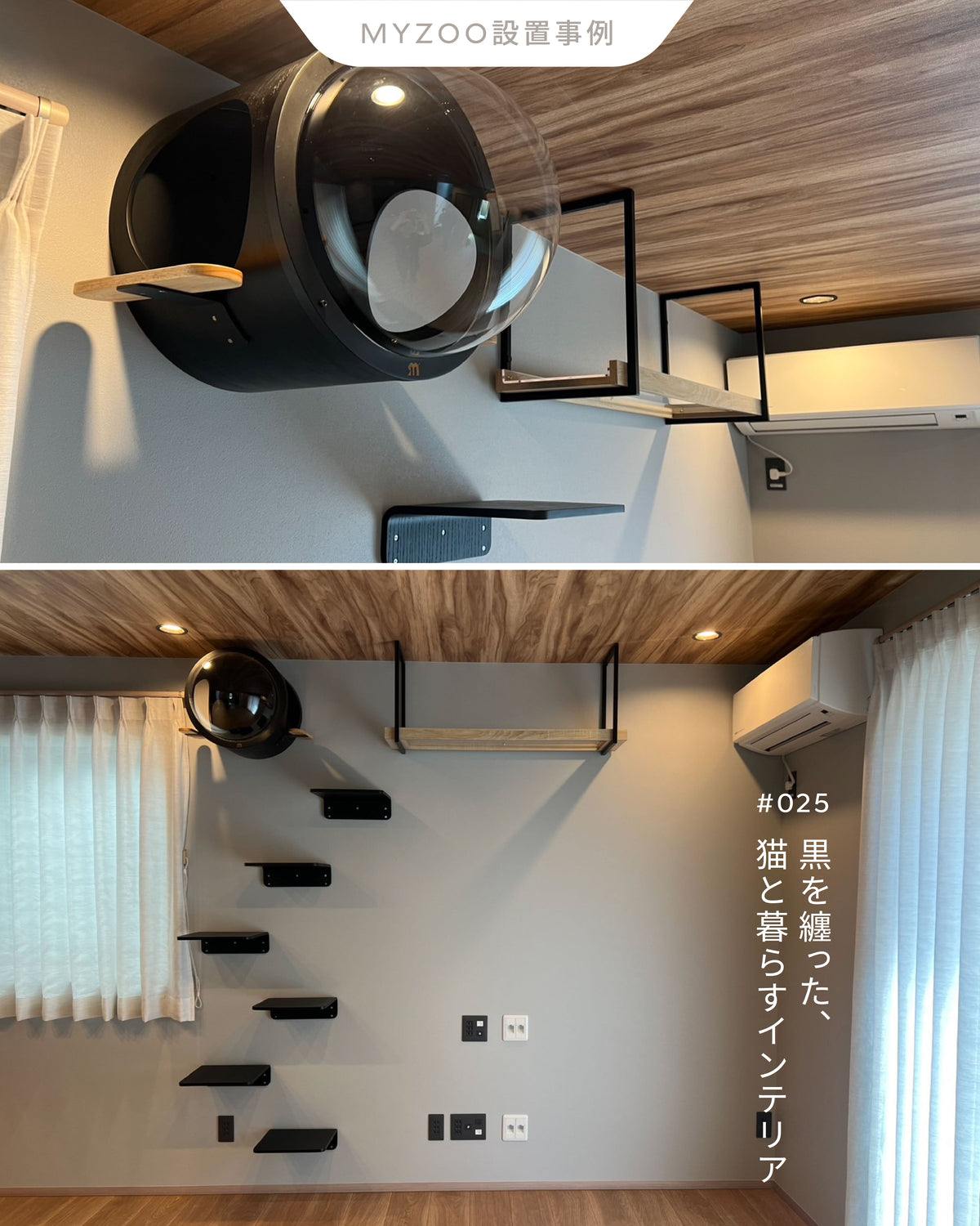 𝐋𝐢𝐯𝐢𝐧𝐠 𝐰𝐢𝐭𝐡 𝐂𝐚𝐭𝐬 | 黒を纏った、猫と暮らすインテリア