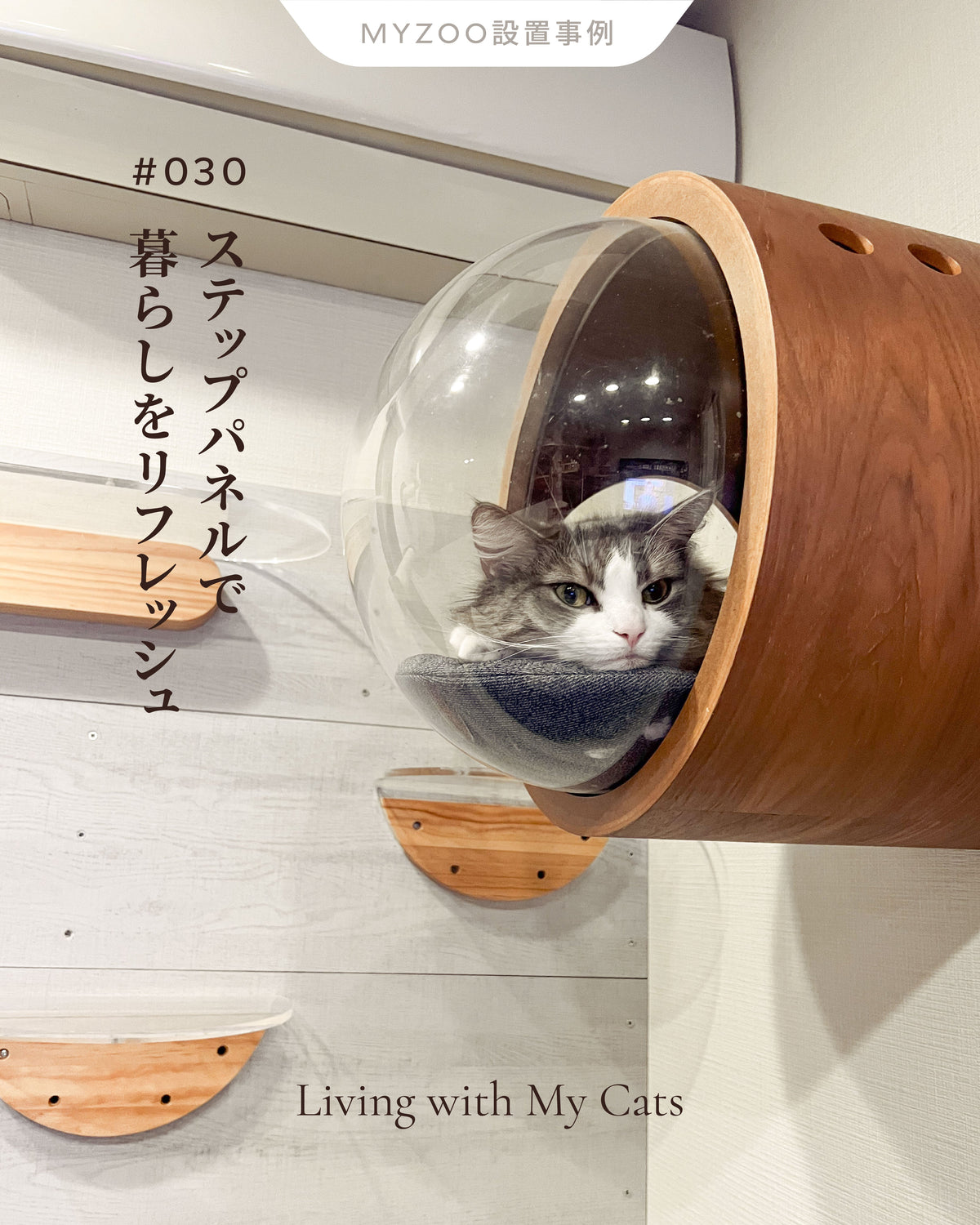 𝐋𝐢𝐯𝐢𝐧𝐠 𝐰𝐢𝐭𝐡 𝐂𝐚𝐭𝐬 |ステップパネルで暮らしをリフレッシュ