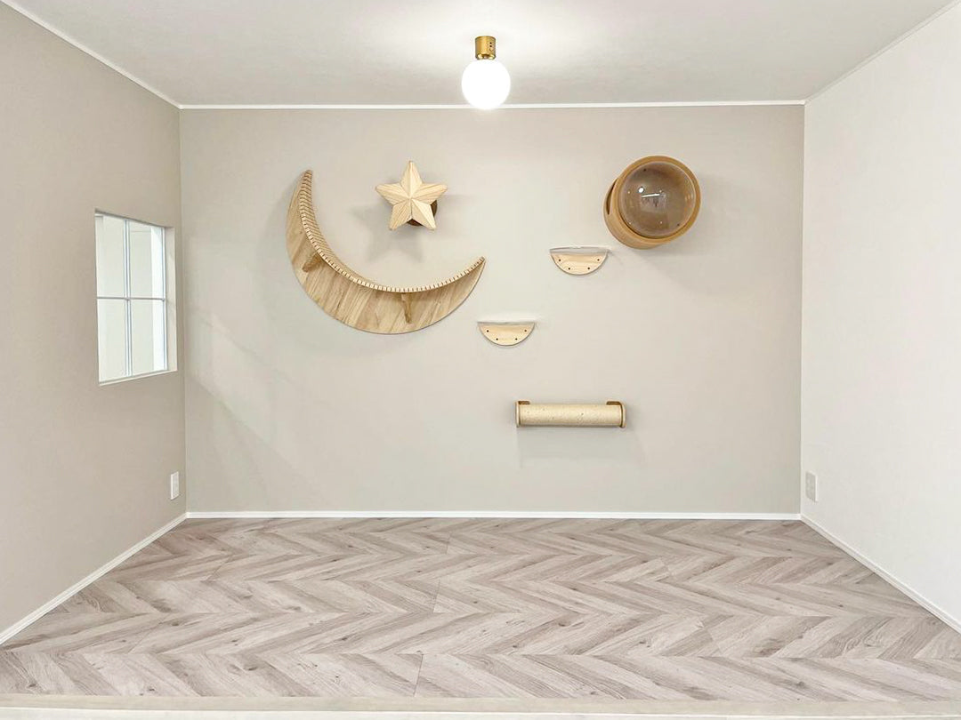 𝐋𝐢𝐯𝐢𝐧𝐠 𝐰𝐢𝐭𝐡 𝐂𝐚𝐭𝐬|小上がり× Luna