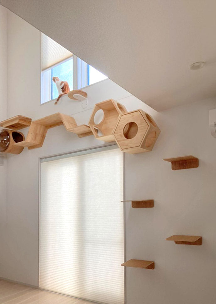 吹き抜けのある家で失敗しないキャットレイアウト事例