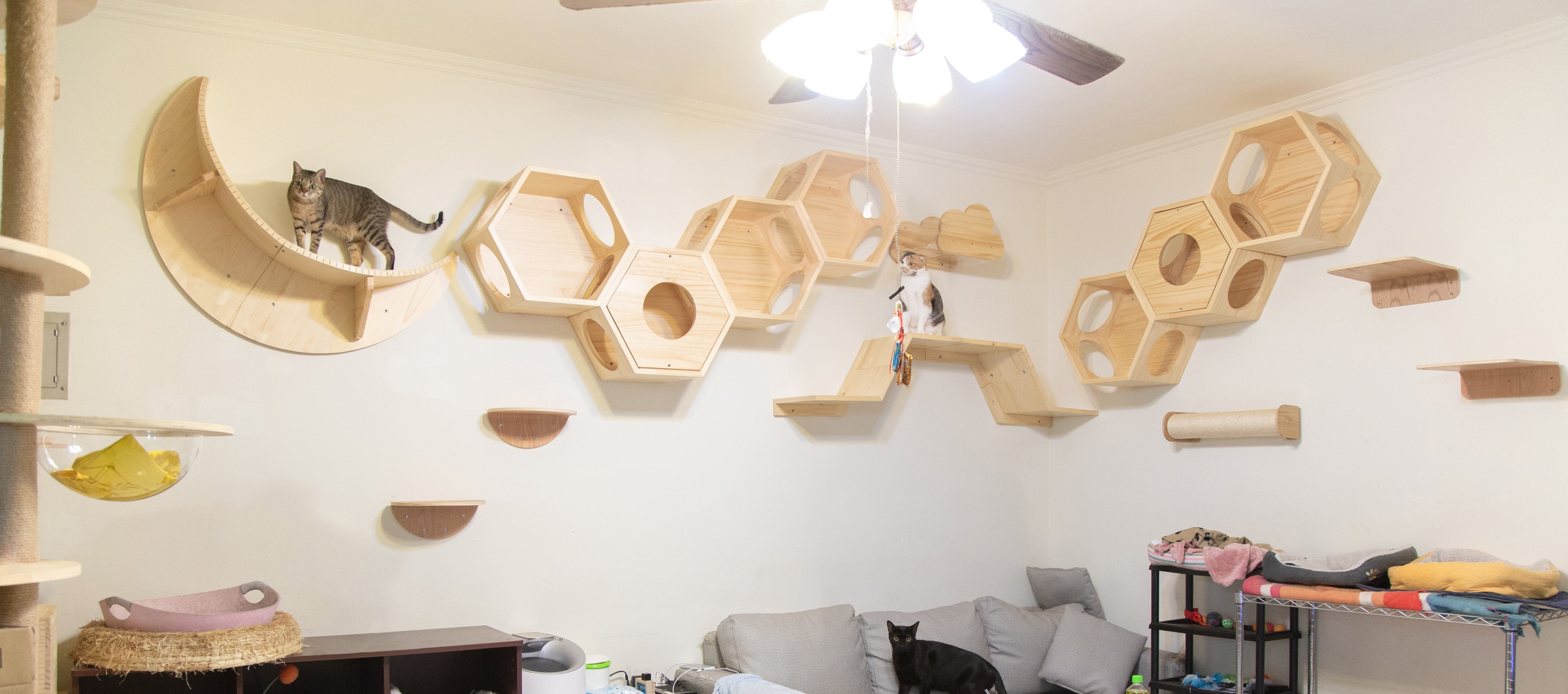 リビングからにゃんこの遊戯場に変身