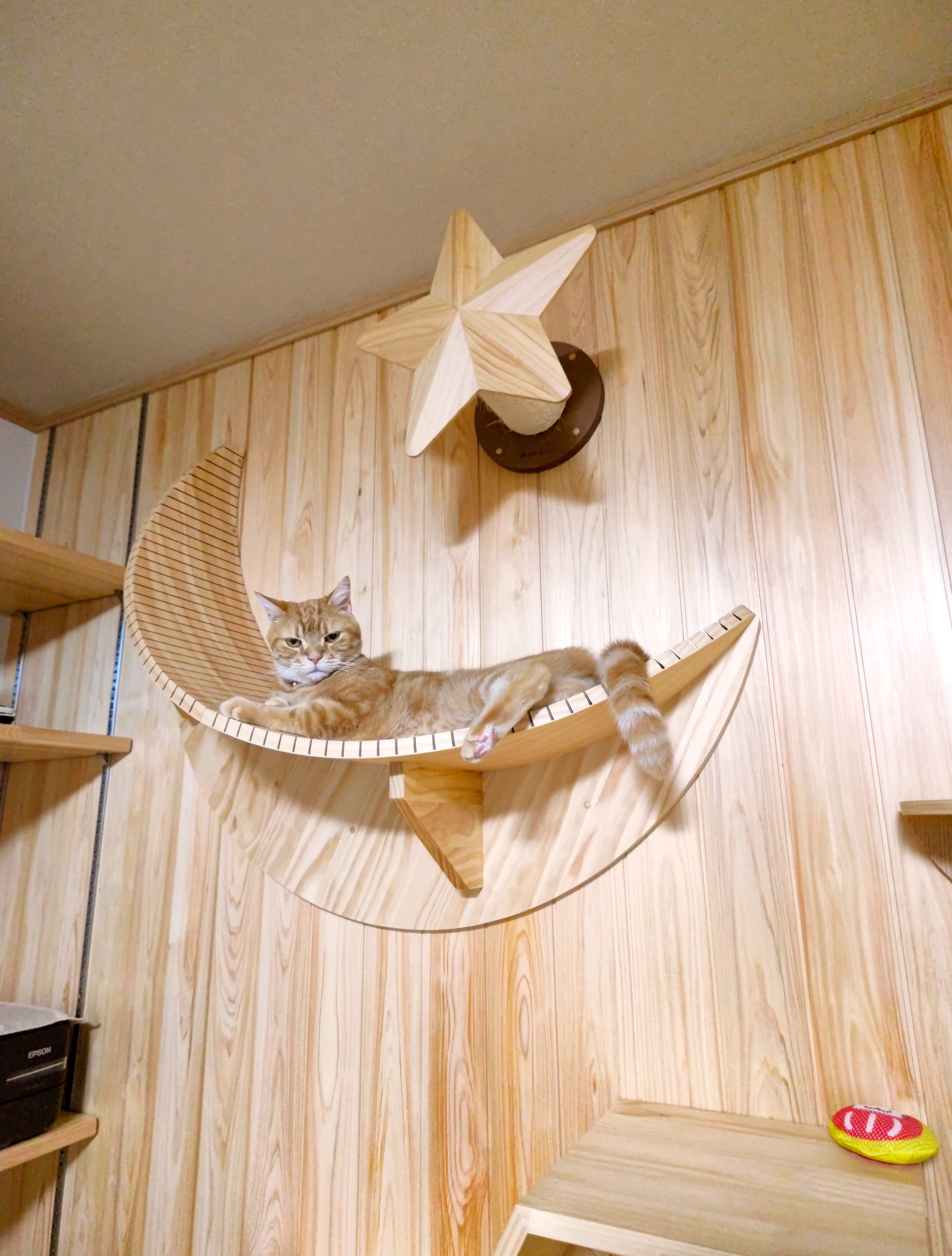 愛猫とヌックでくつろぐ
