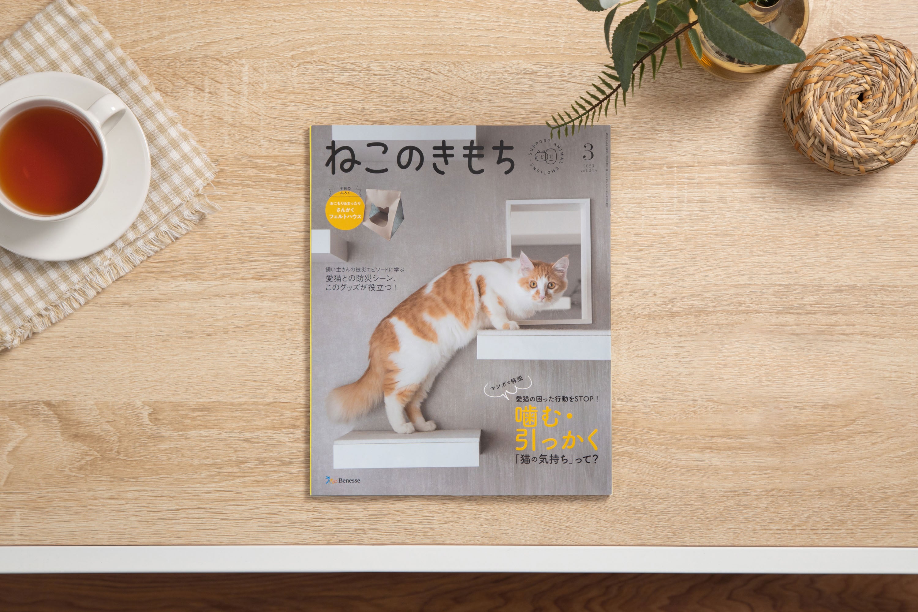 【雑誌】ねこのきもち 3月号 2023年 vol.214