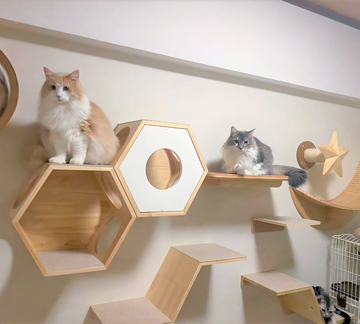 東海エリア対応|山田商会「住まいるペット」(岐阜県)