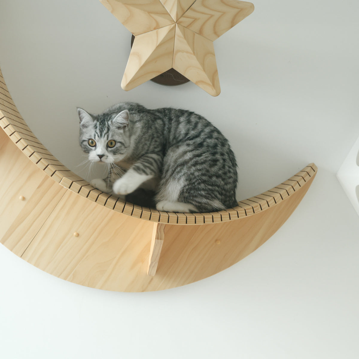 MYZOO-お得なセット商品