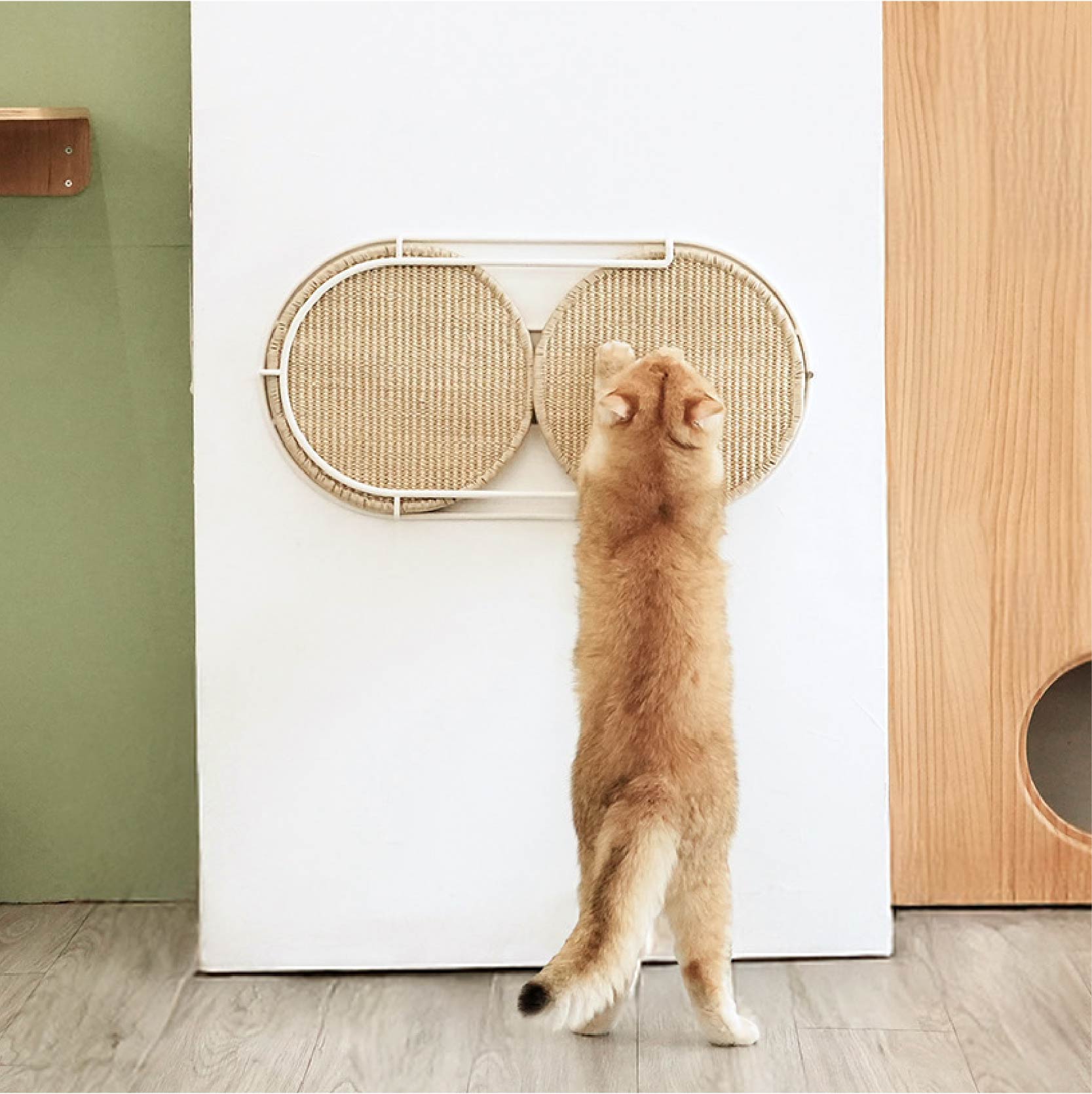 【円形爪研ぎボード】MYZOO-Locus