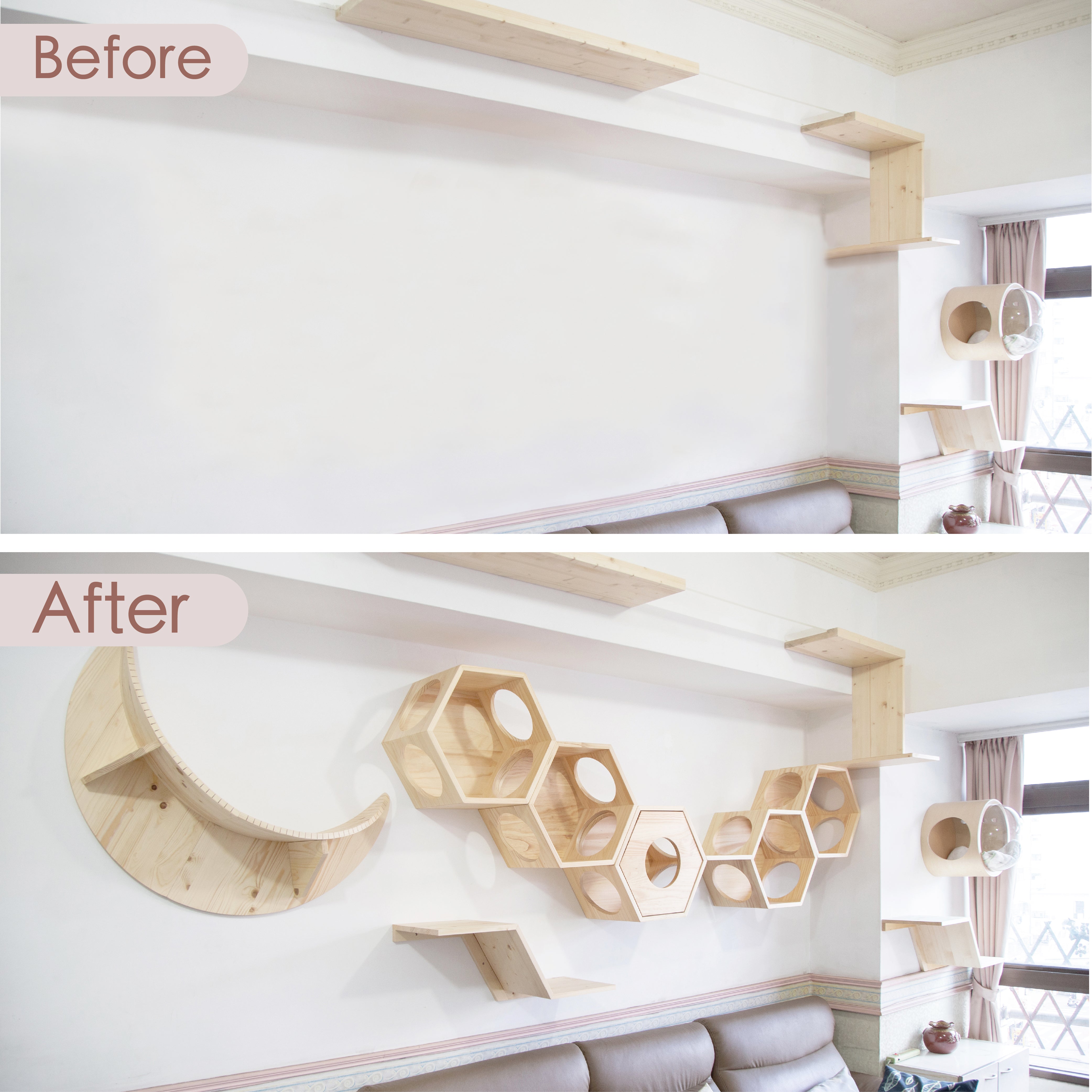 【申し込み用】Catwall Design