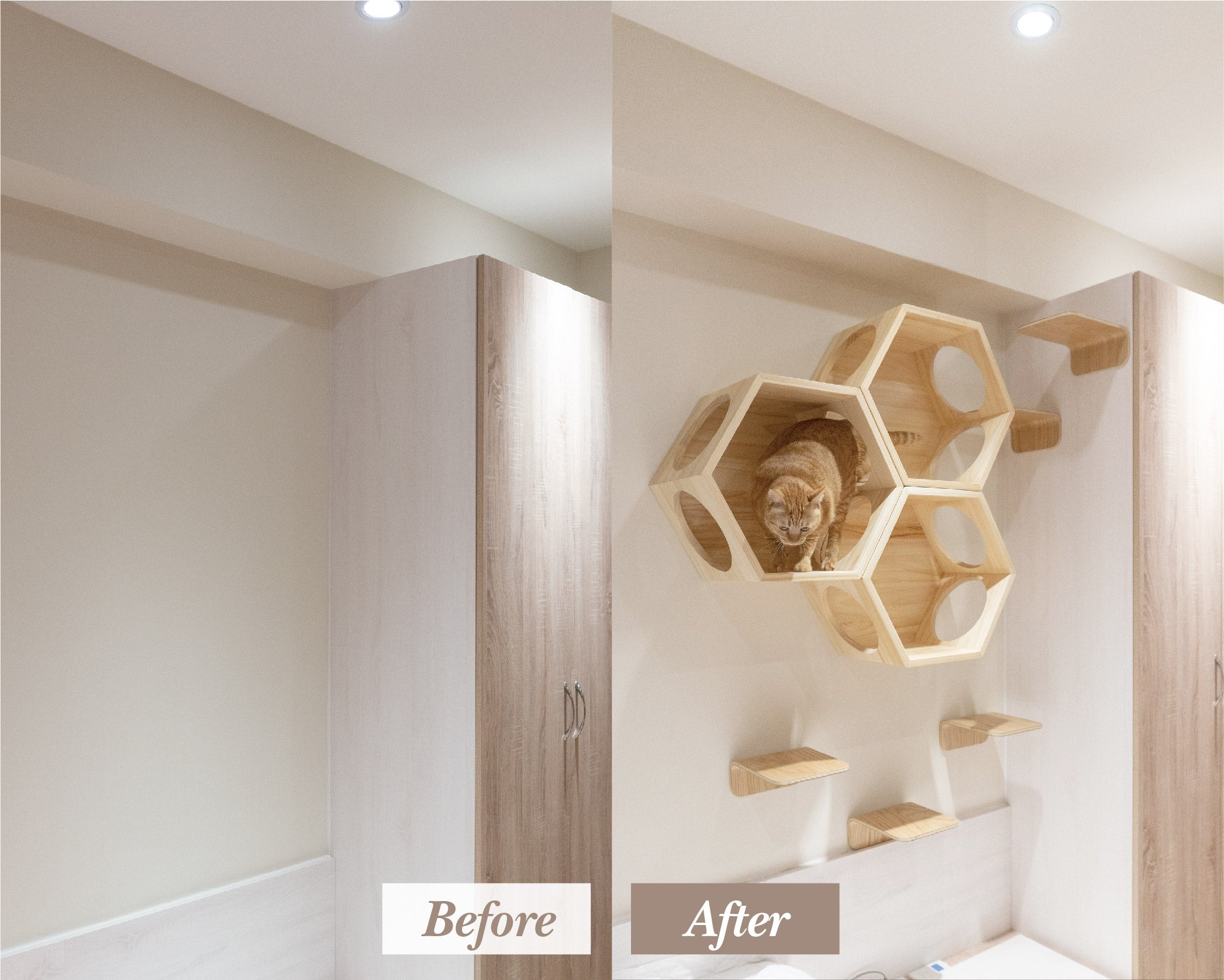 【申し込み用】Catwall Design