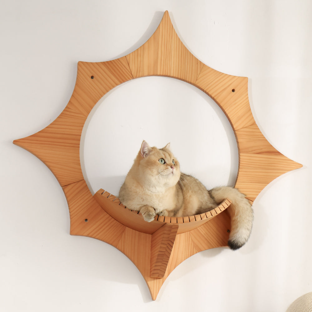 Solar