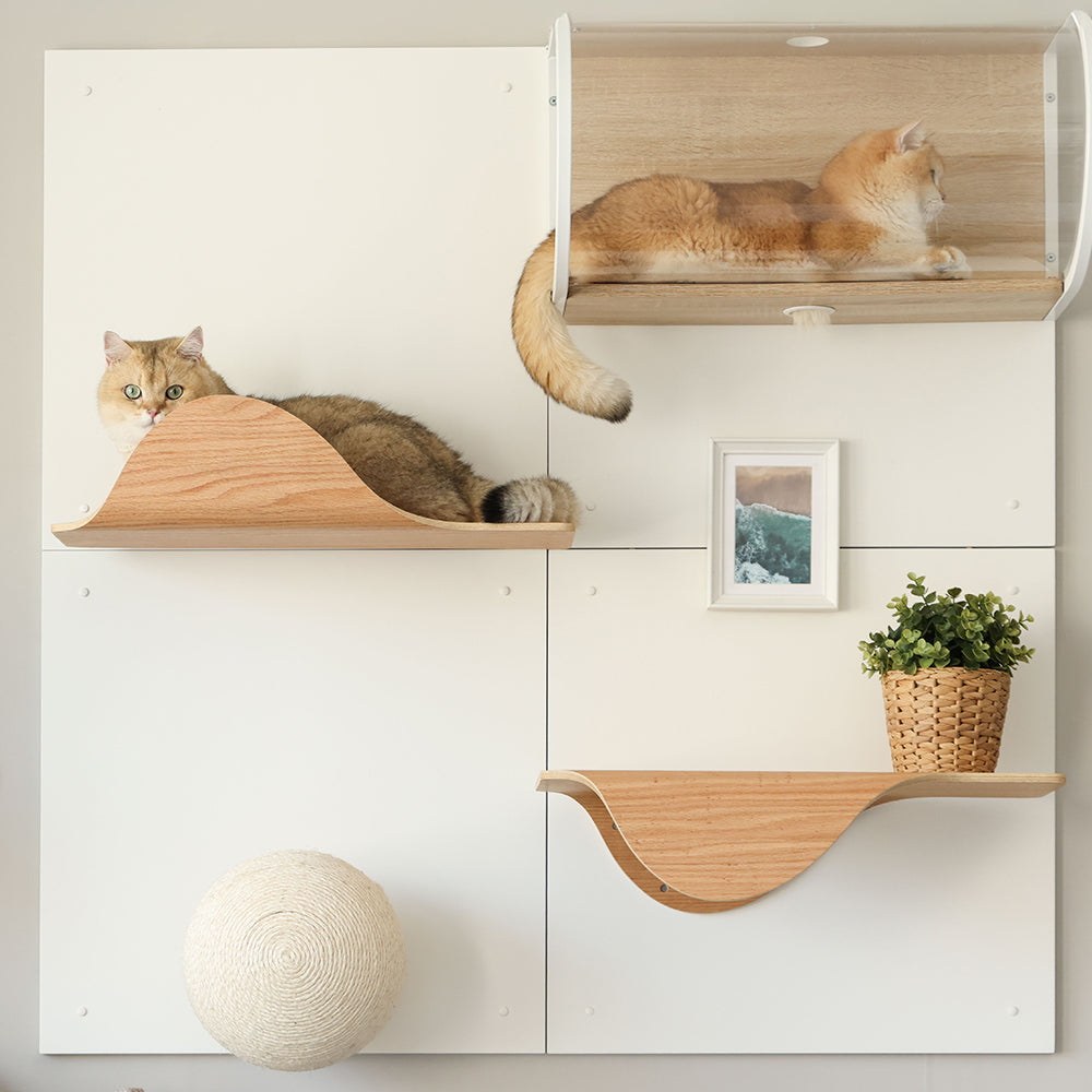 10/20より販売【新登場】Cat Wall panel