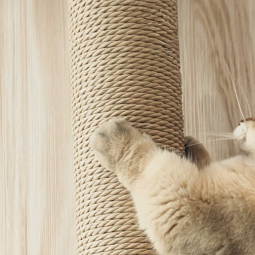 Cylinder For Replacement Eco