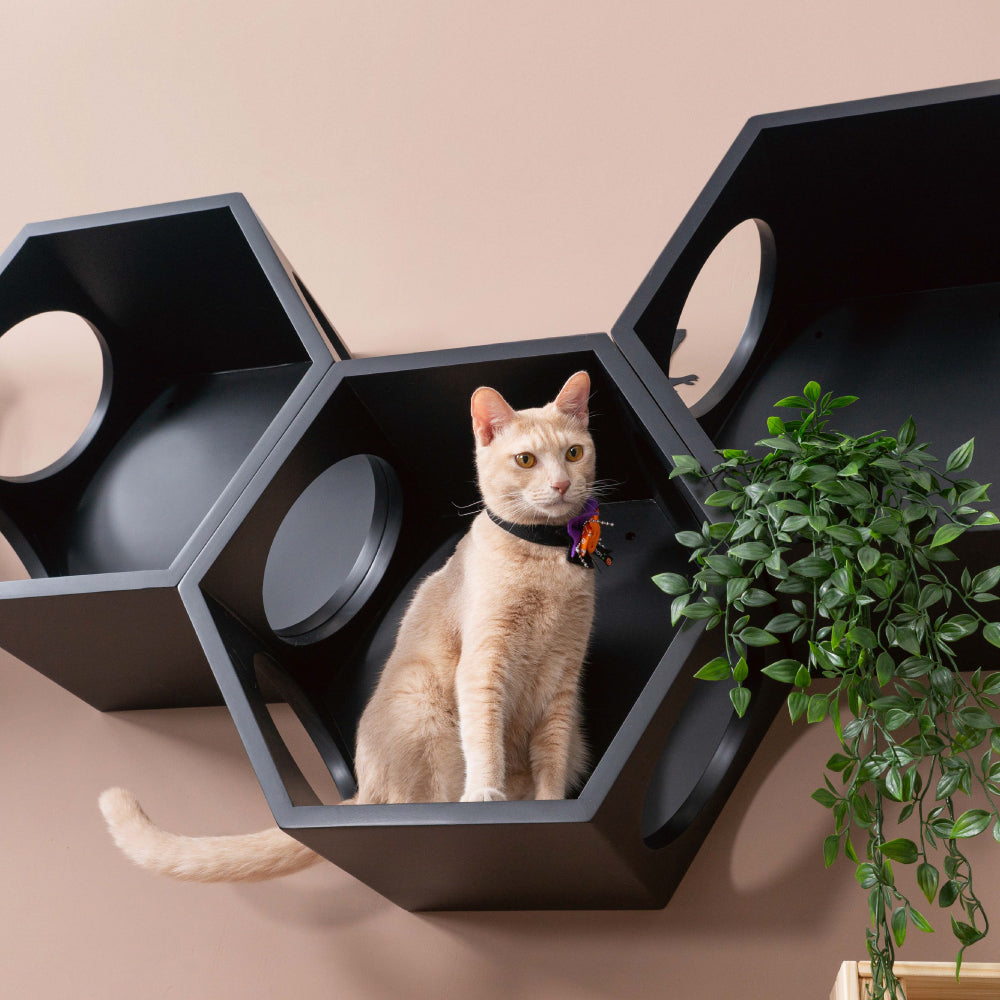 最終値下げです　人気！　二階建て　キャットハウス　　 キャティーマン HOT HOME ネコの暖かいわが家 (38678) 2階建て 屋上