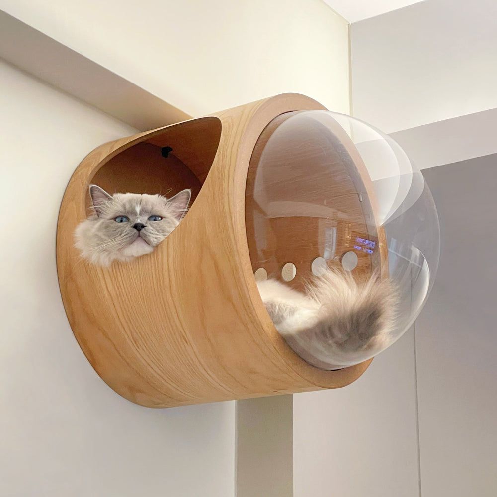 MYZOO 宇宙船　GAMMA 猫用ベッド Amazon | MYZOO 宇宙船 猫ハウス ペット用ベッド ドーム状 壁付け対応