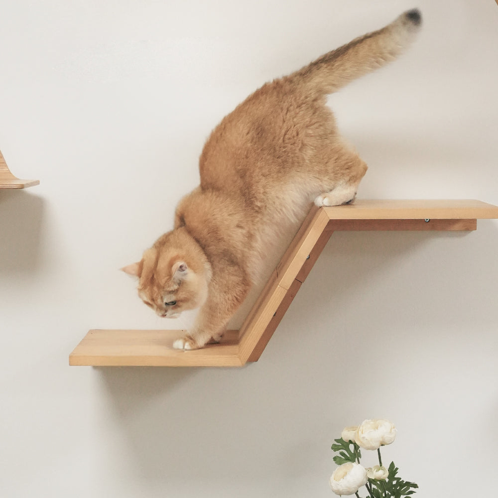 ソワジックSoizick ストレッチキャット　猫 Cork