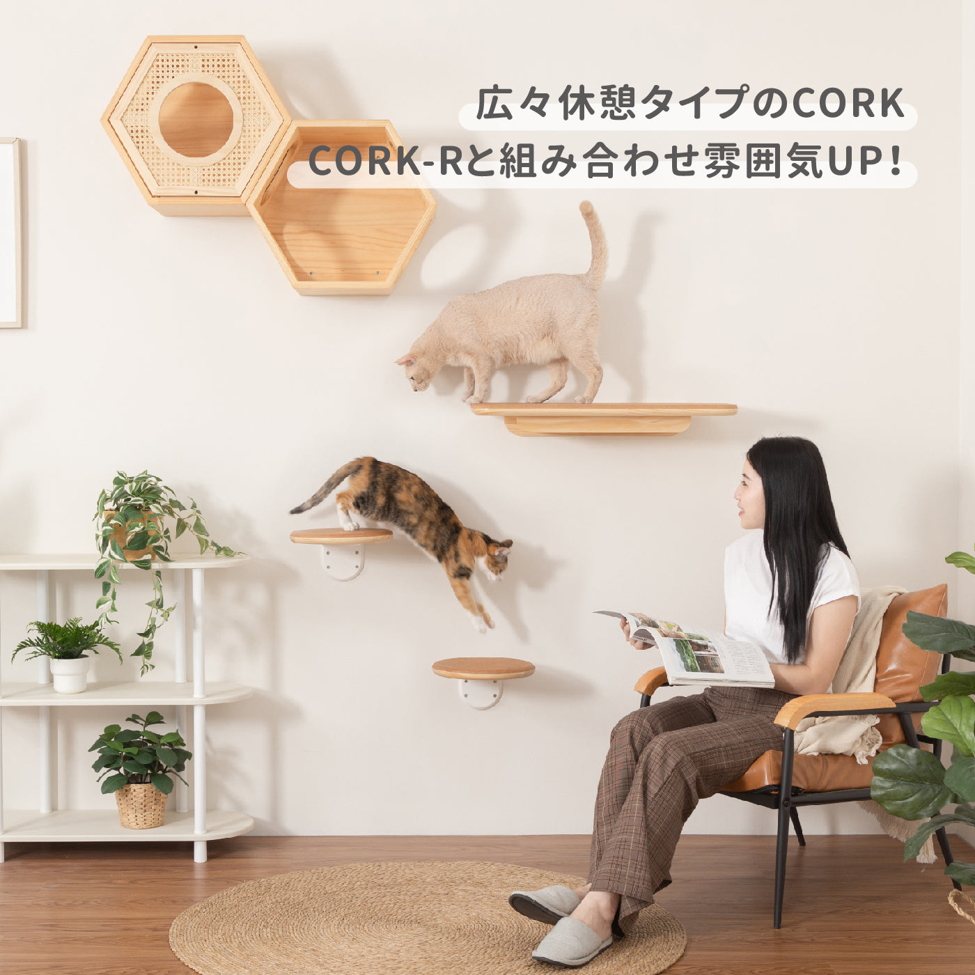 【猫の間セット】六角ハウス+自然の屏カバー+CORK+CORK-R
