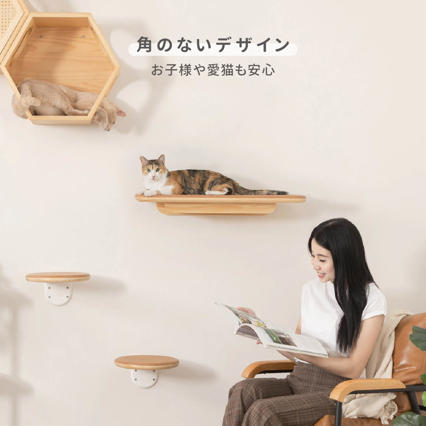 【キャットステップ】MYZOO-CORK