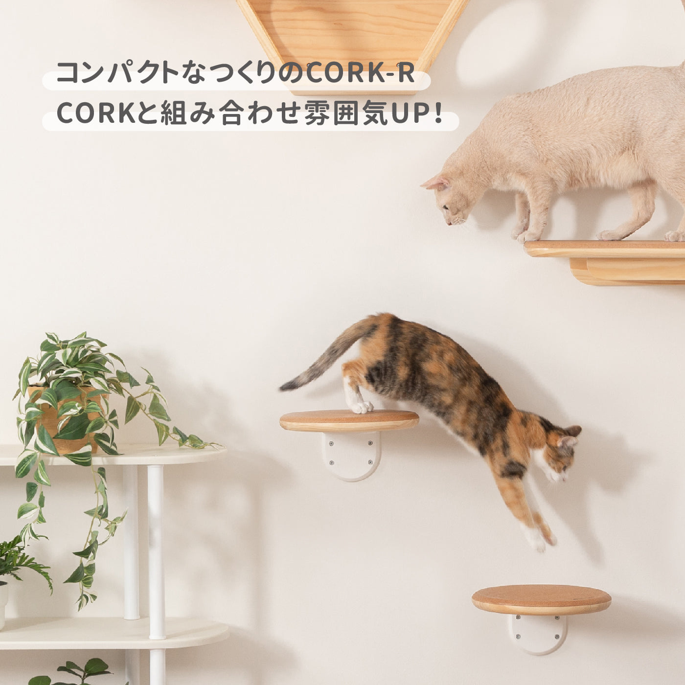 Cork-R