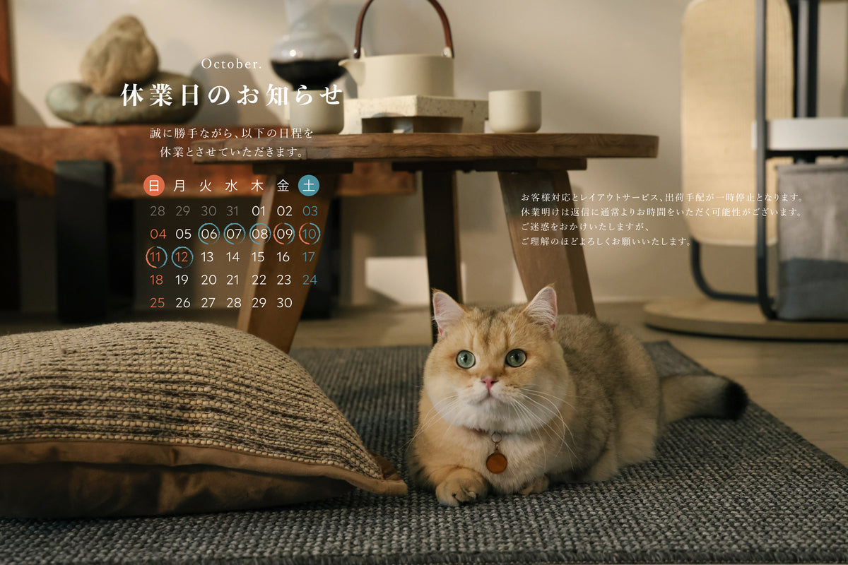 MYZOO | キャットステップ・猫用ベッド通販