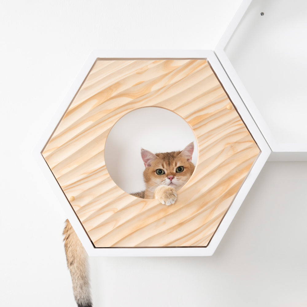Busy Cat Cover Wave