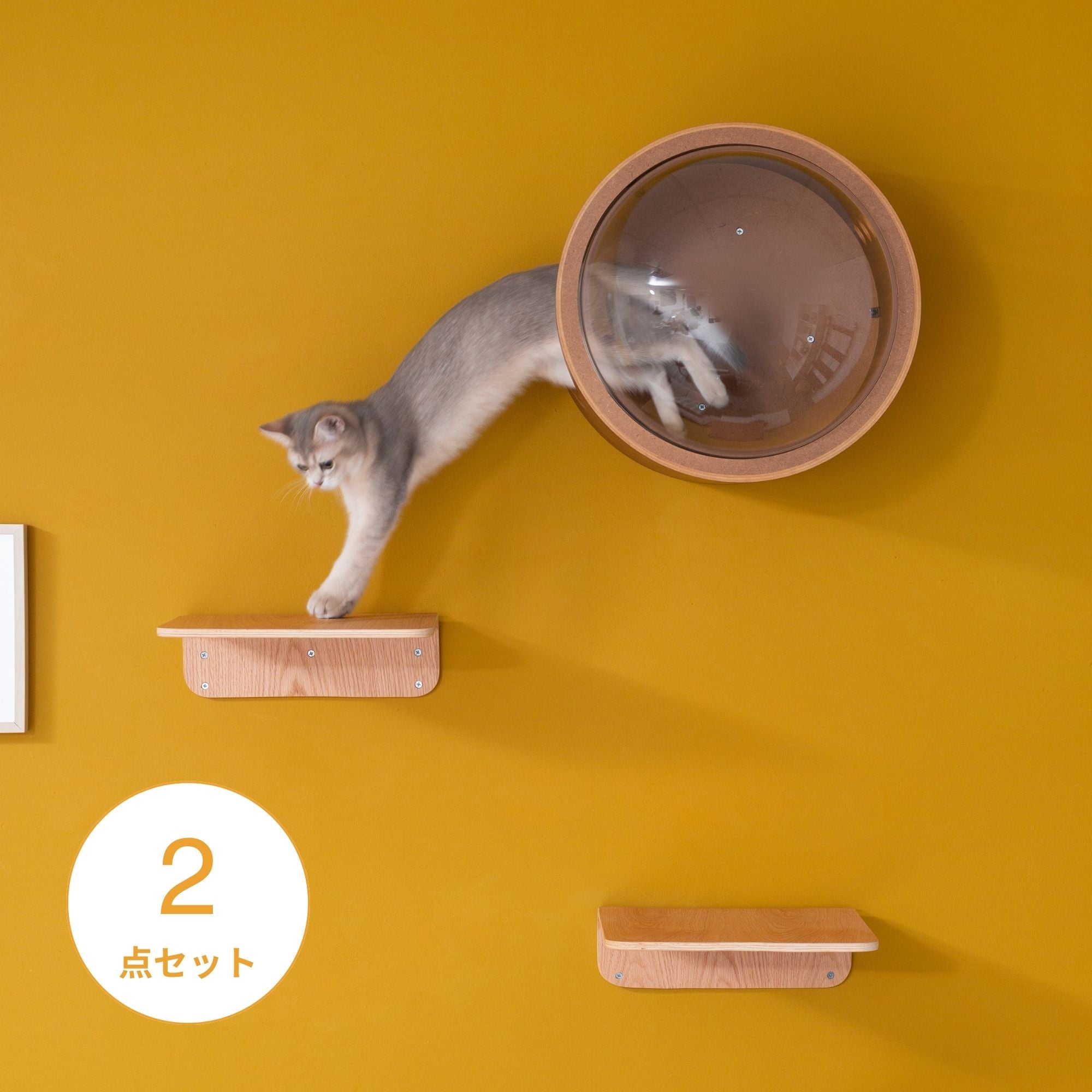 【シンプルセット】宇宙船GAMMA+LACK-M