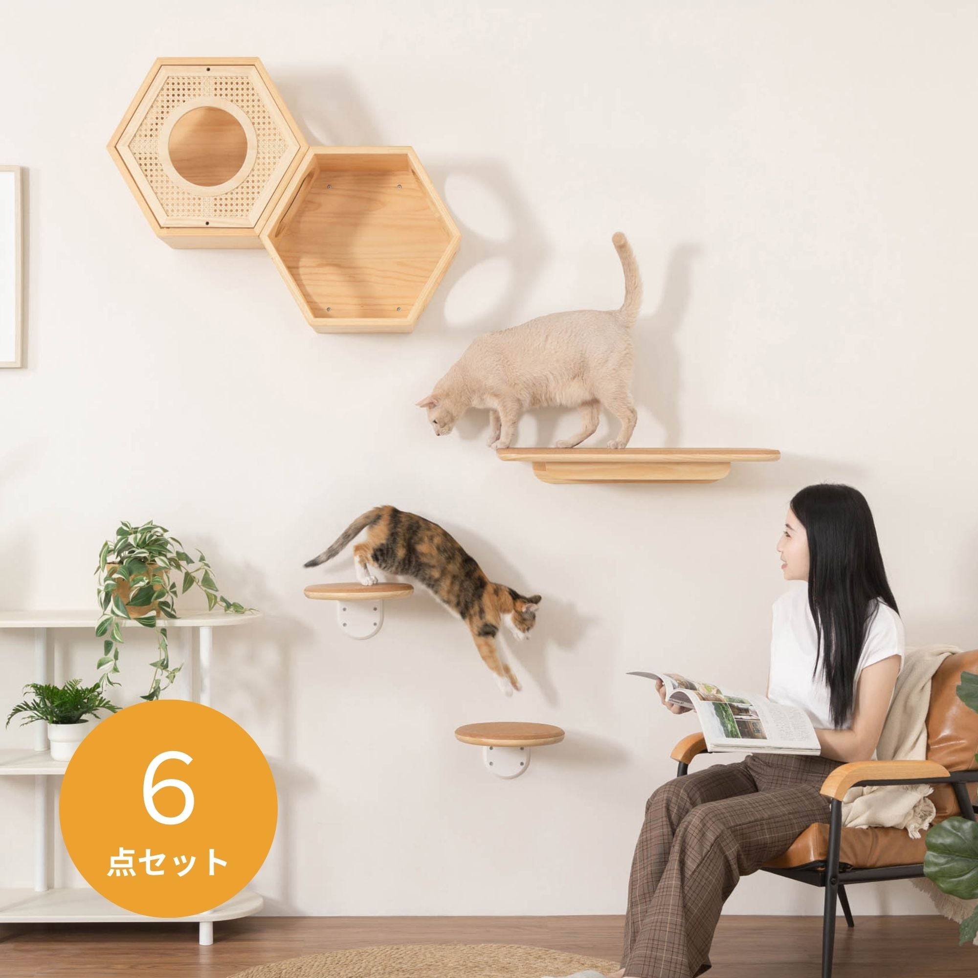 【猫の間セット】六角ハウス+自然の屏カバー+CORK+CORK-R
