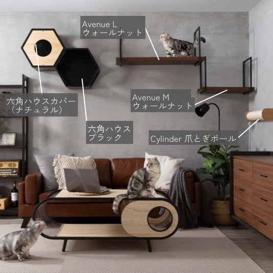 【モダン風セット】六角ハウス+Avenue+Cylinder