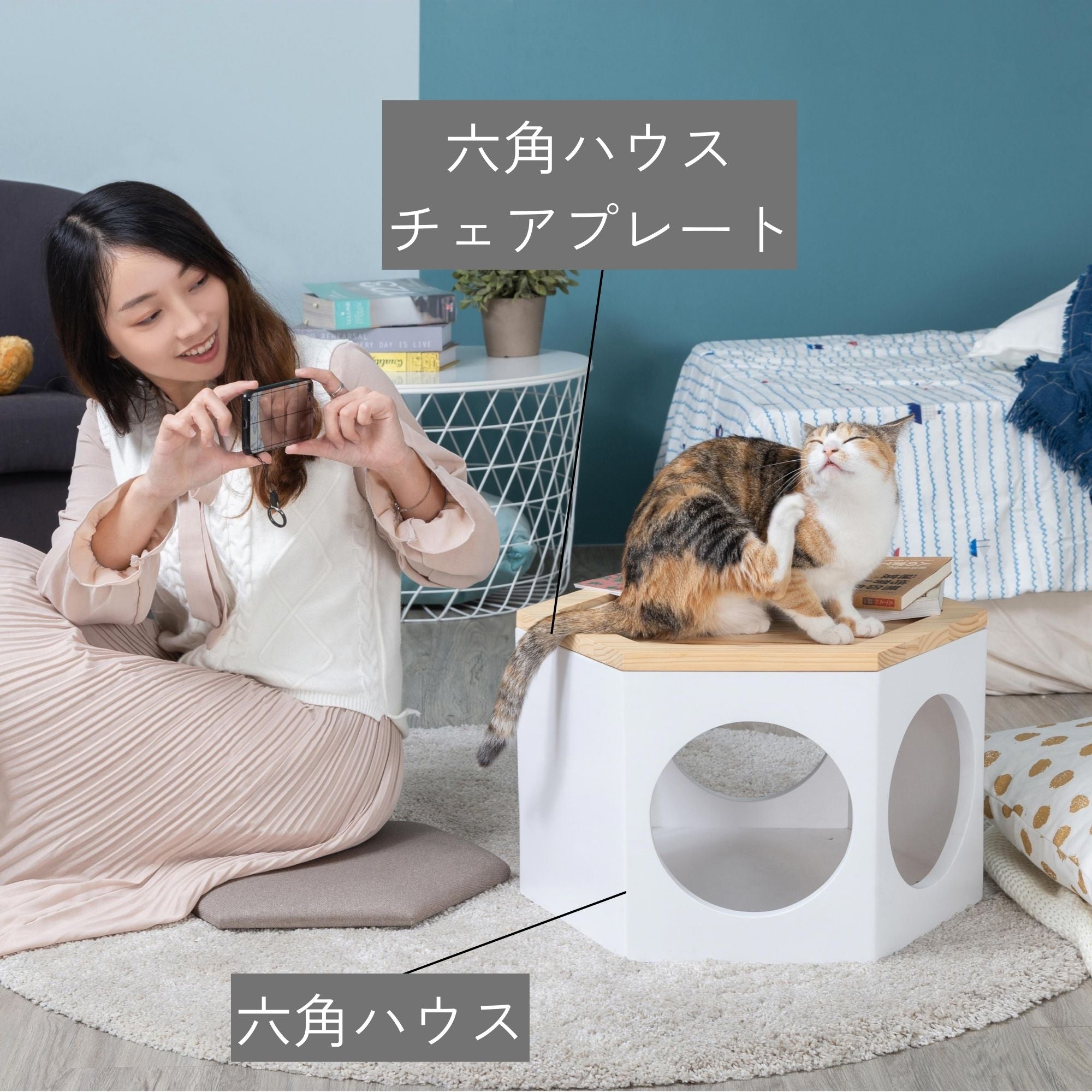 【床置き仕様】MYZOO-六角ハウスチェアセット