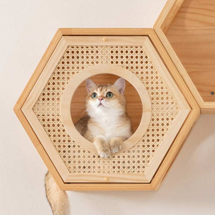六角ハウスオプション/猫の隠れ家】MYZOO-六角ハウスカバー 自然の屏 