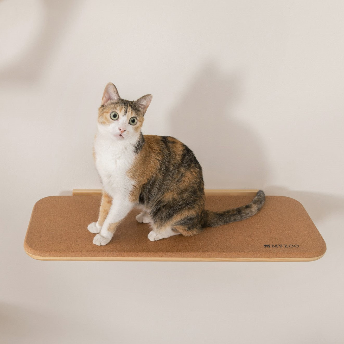 【猫の間セット】六角ハウス+自然の屏カバー+CORK+CORK-R