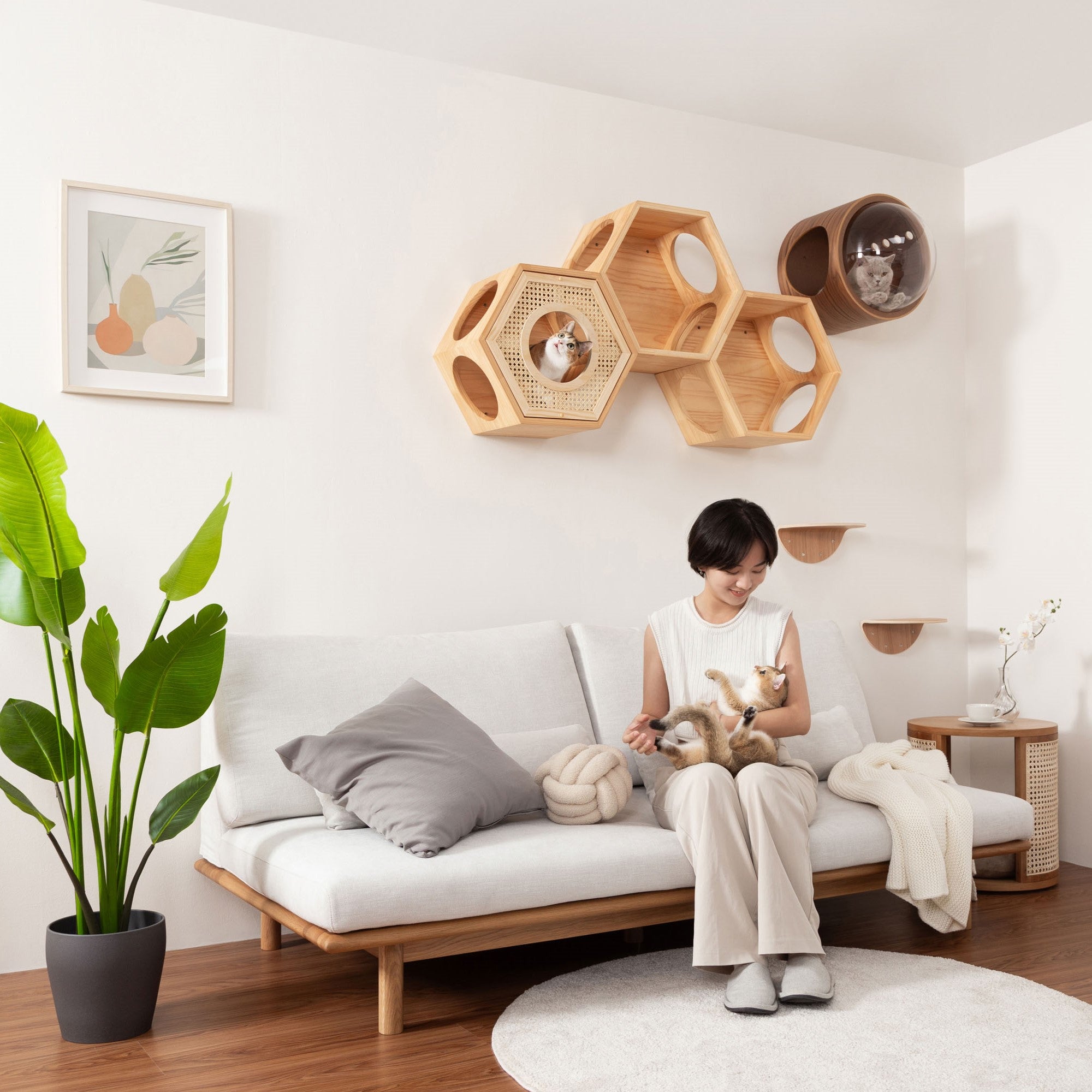 Busy Cat Cover Rattan