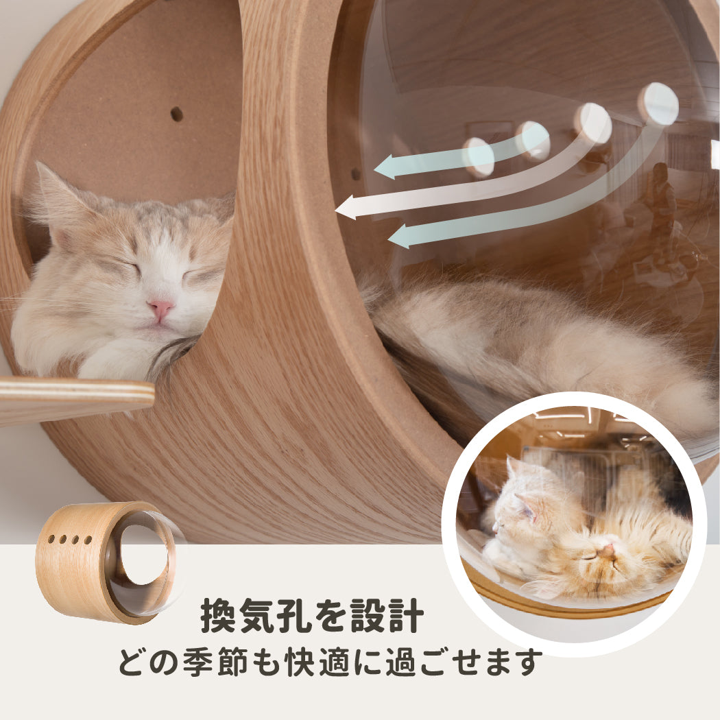 【シンプルセット】宇宙船GAMMA+LACK-M