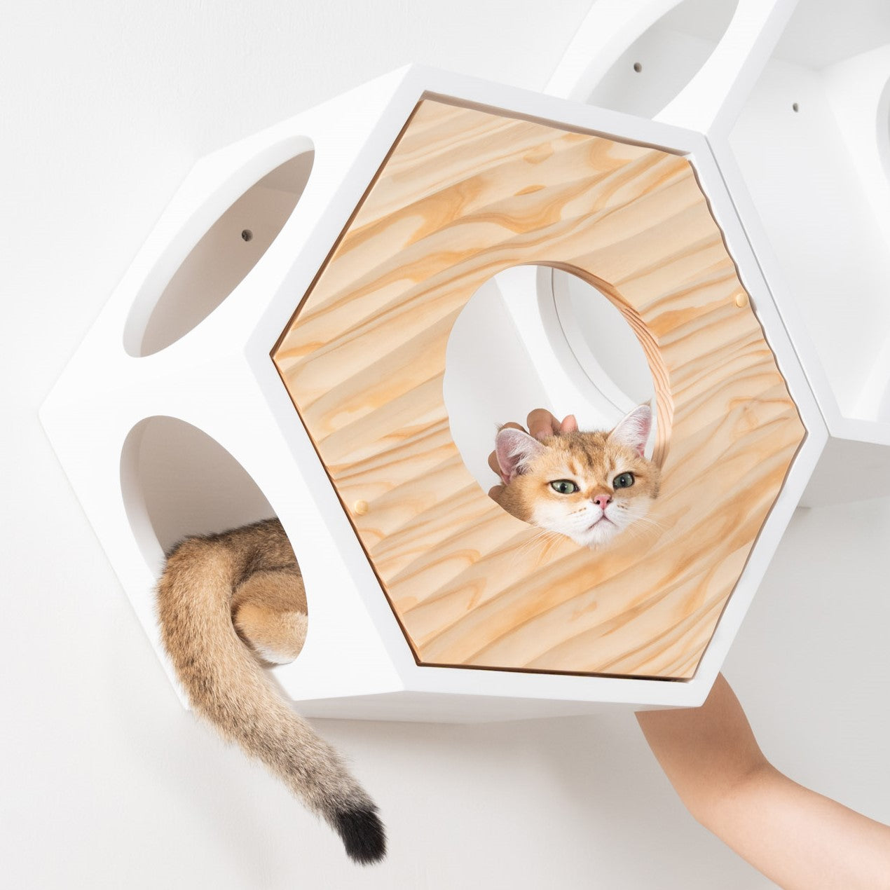 パイン材の白い六角形キャットステップに、隠蔽性の高い波模様のカバーが付いている