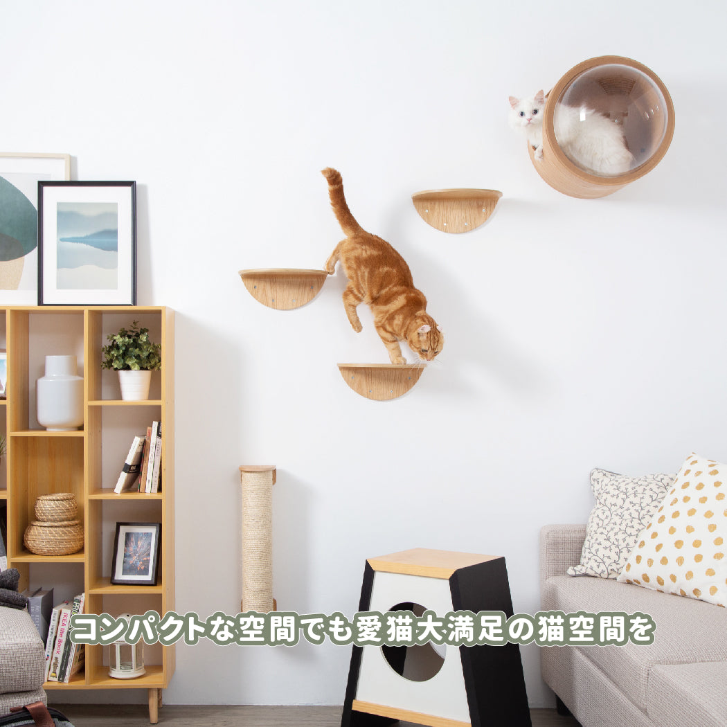 【申し込み用】Catwall Design