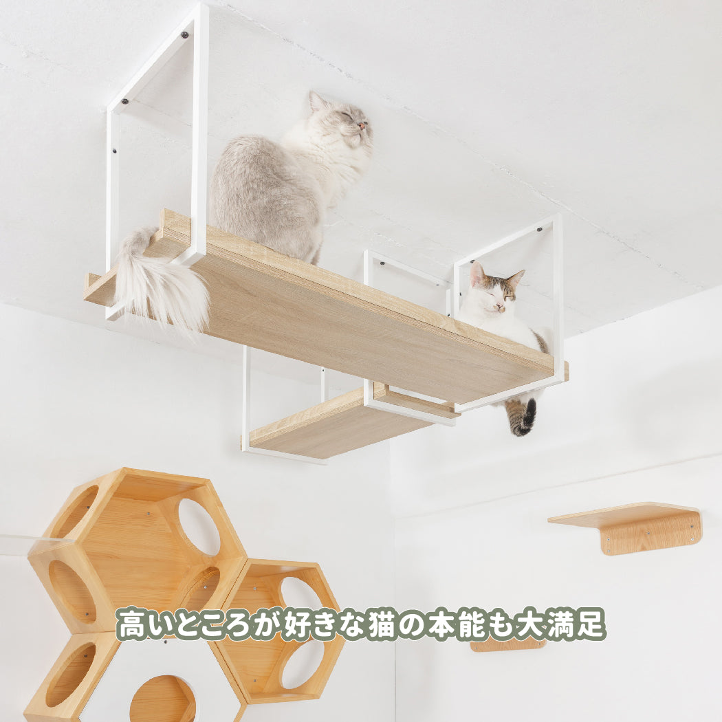 【申し込み用】Catwall Design