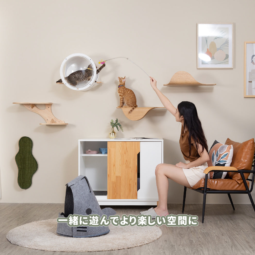 【申し込み用】Catwall Design