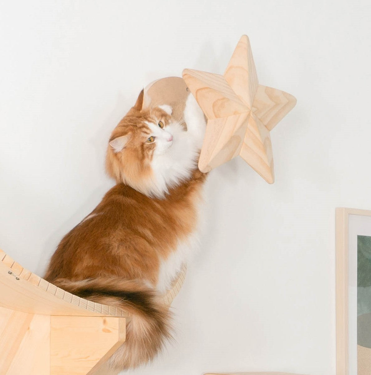 星をモチーフしたキャットステップです。ポールに麻縄が巻いておりますので爪とぎとして使用することも可能。