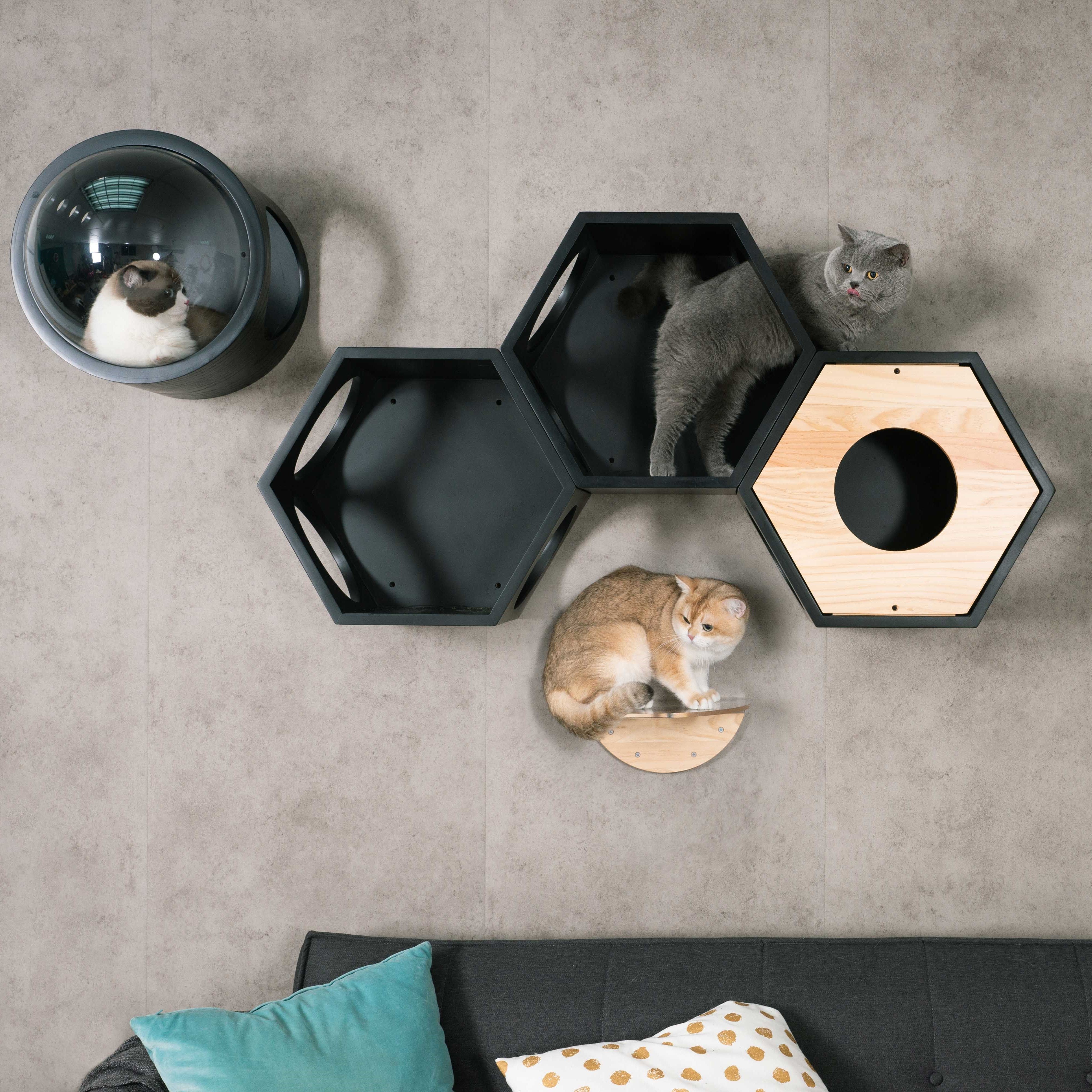 壁掛けタイプのキャットタワー。六角形で四面に穴を開けているので、好きな場所から出入りができ好奇心を満たされます。また複数の商品を繋げることにより、トンネルのようなキャットウォークを楽しめることもできます。