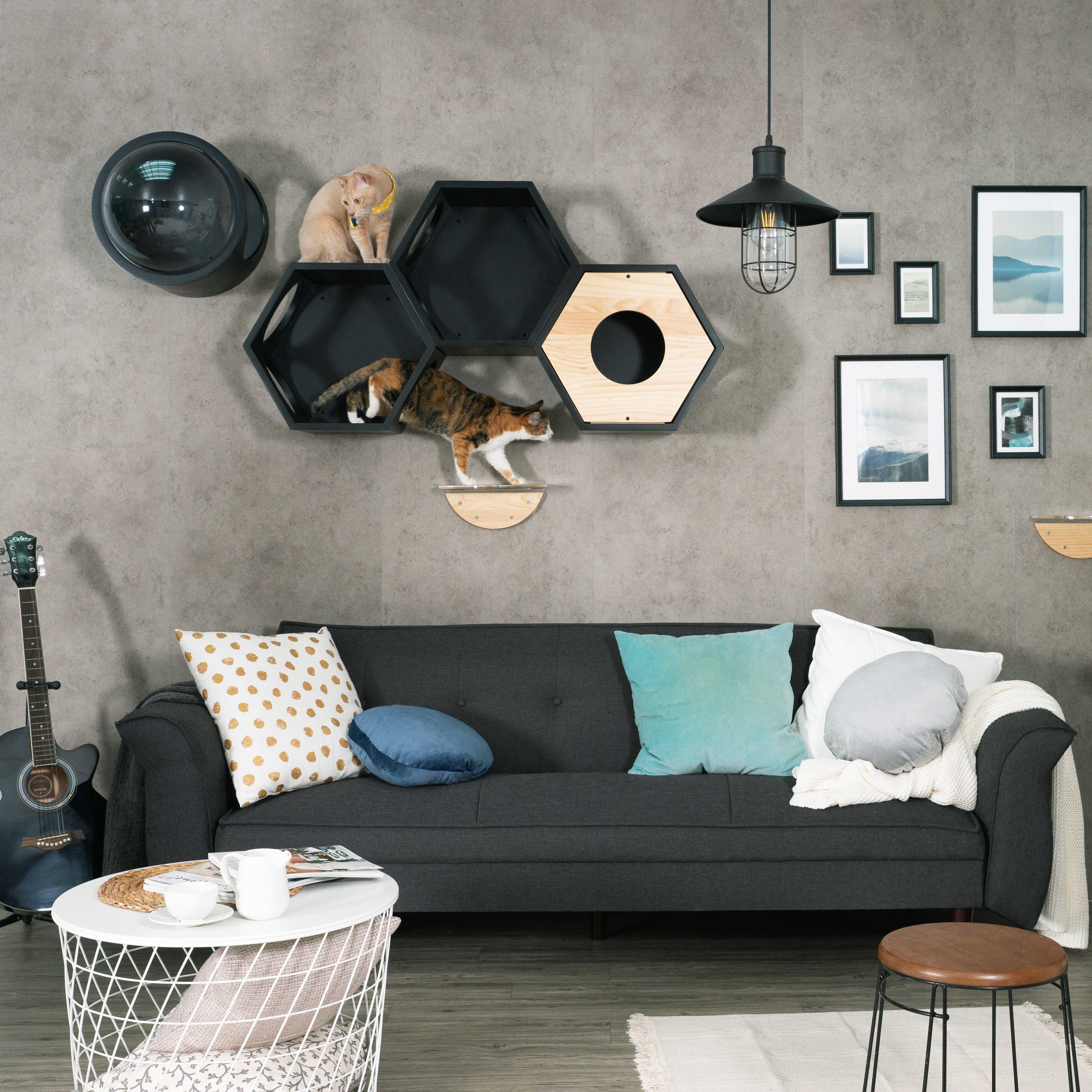 壁掛けタイプのキャットタワー。六角形で四面に穴を開けているので、好きな場所から出入りができ好奇心を満たされます。また複数の商品を繋げることにより、トンネルのようなキャットウォークを楽しめることもできます。