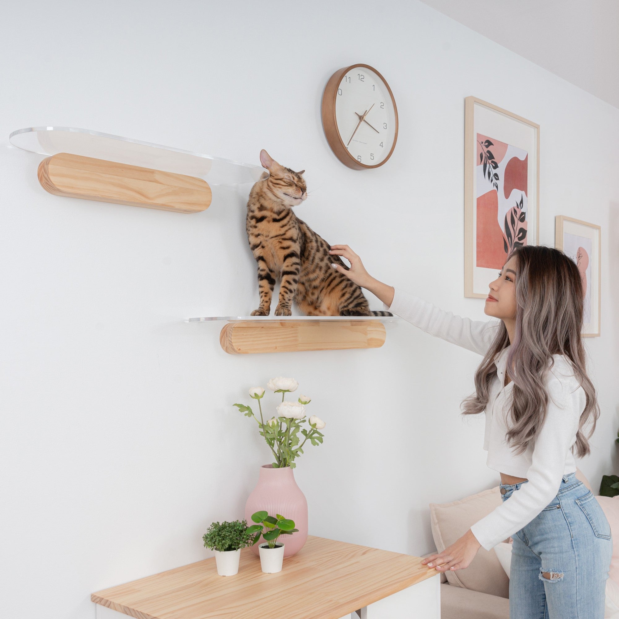 MYZOO-OBLONG キャットステップ/キャットウォーク。踏み台は透明仕様。パイン無垢材。幅60cmと90cmの2サイズが選べる。