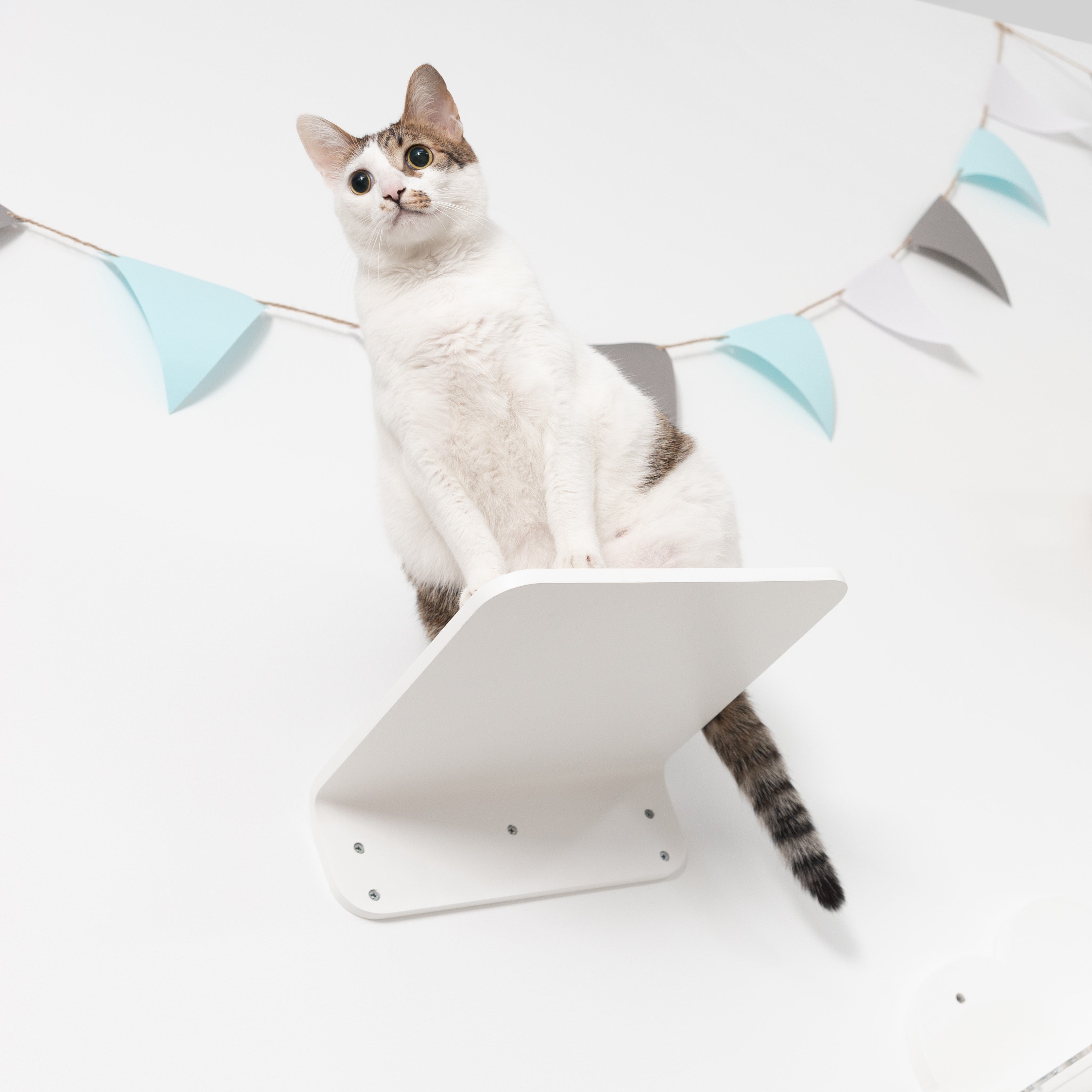 【値下げ中!】PLANE+MOKU+LACK/ホワイトセット