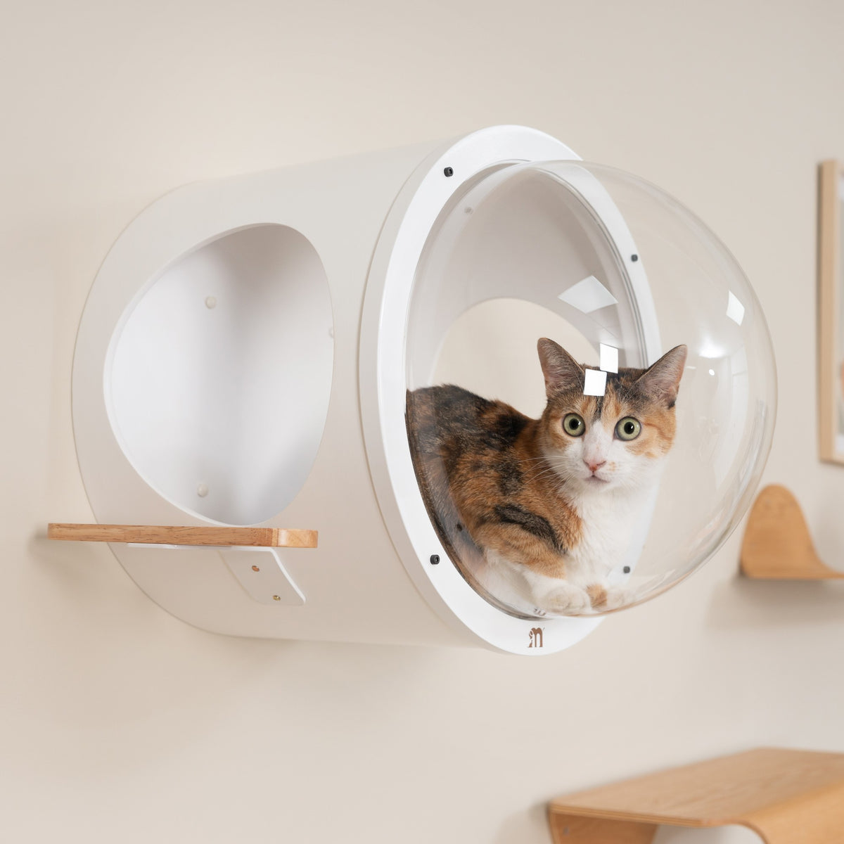 猫様専用 オスモス ベッド （白猫きょうだいとの暮らし、初めて猫と 