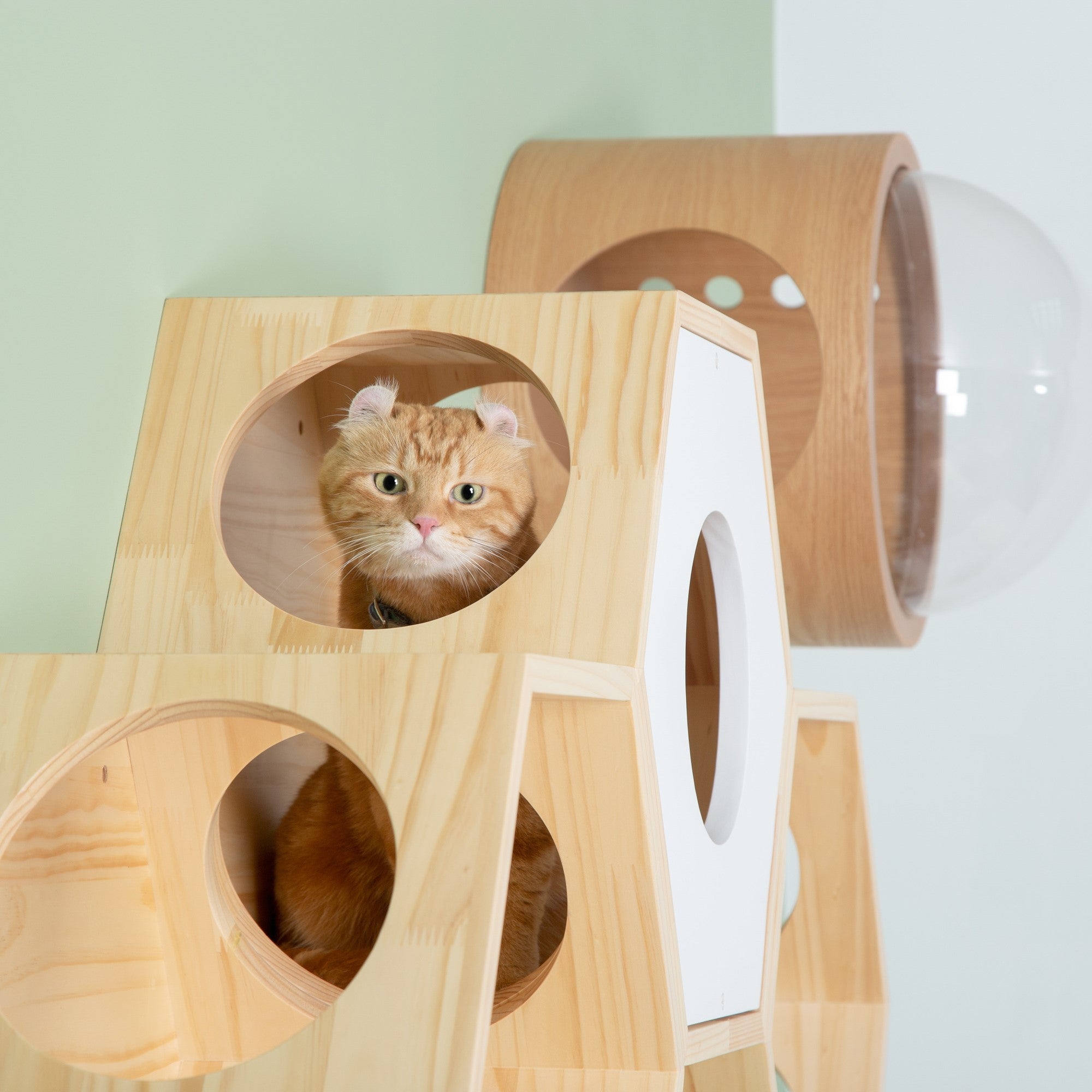 【キャットステップ】MYZOO-六角ハウス