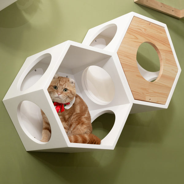 単品販売／受注生産 Cat'工房 5角形キャットハウス | webelieveunited.com