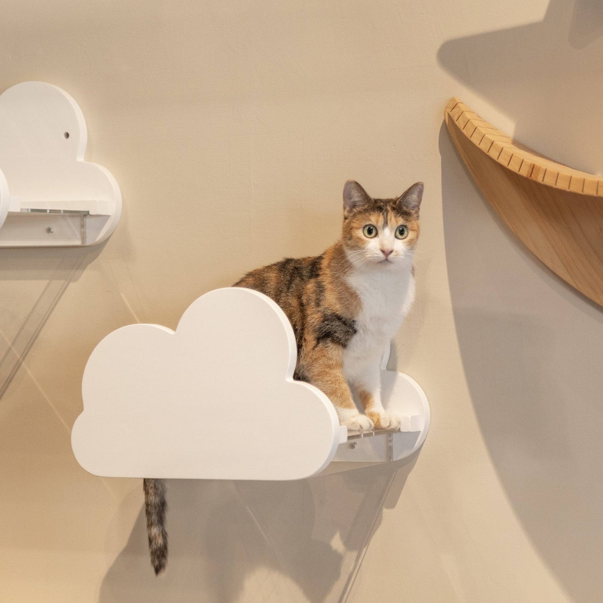 【値下げ中!】PLANE+MOKU+LACK/ホワイトセット