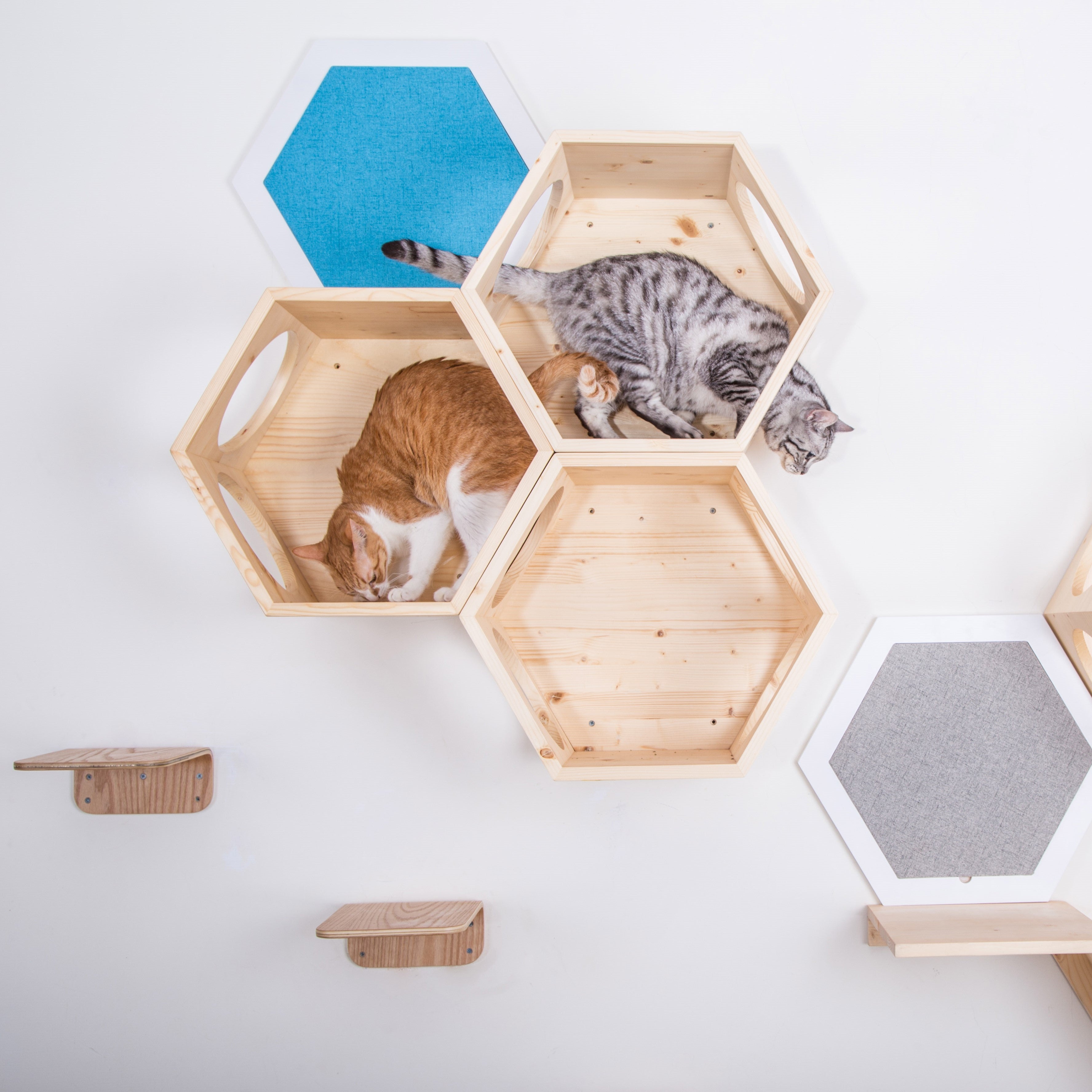 【キャットステップ】MYZOO-六角ハウス