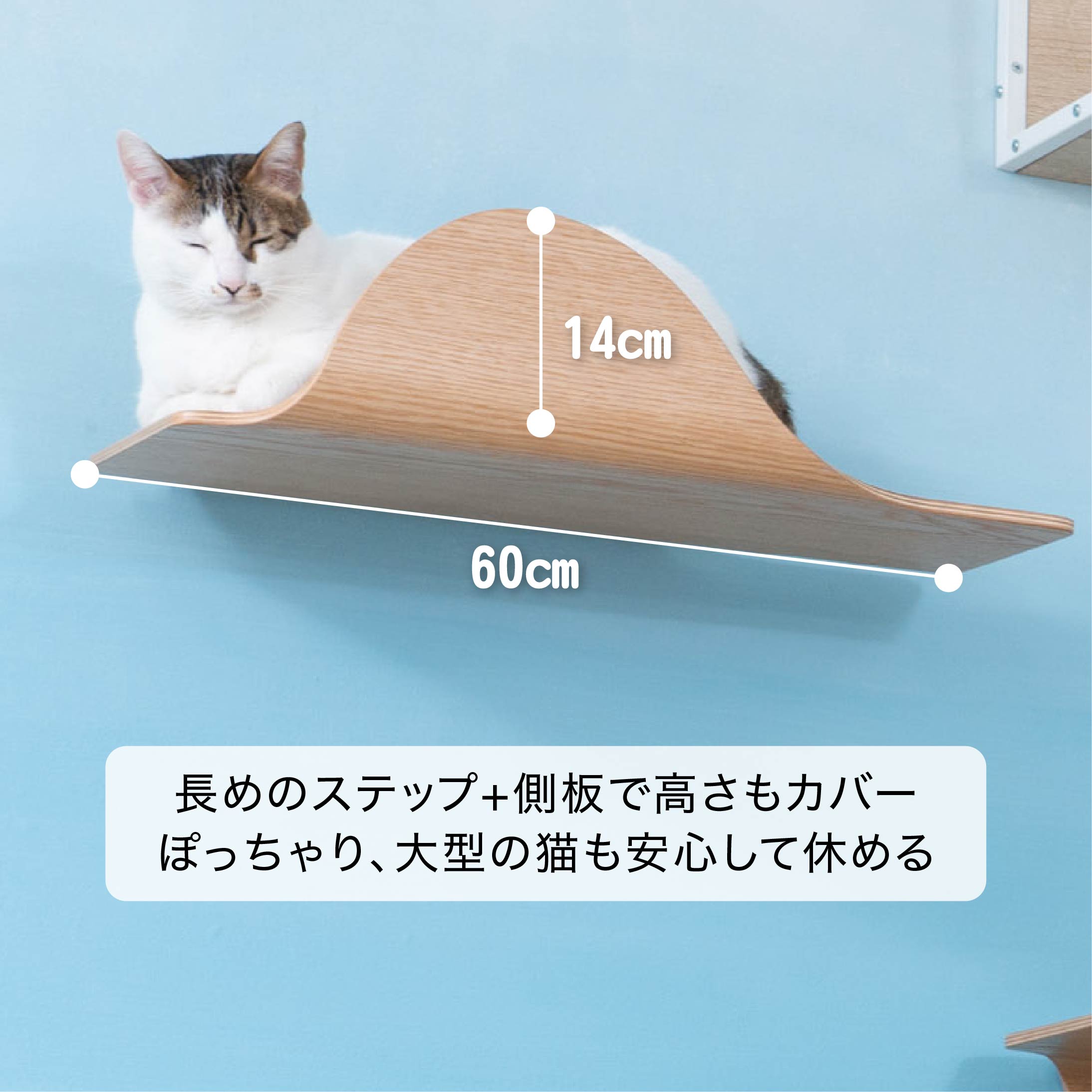 【キャットステップ】MYZOO-STINGRAY