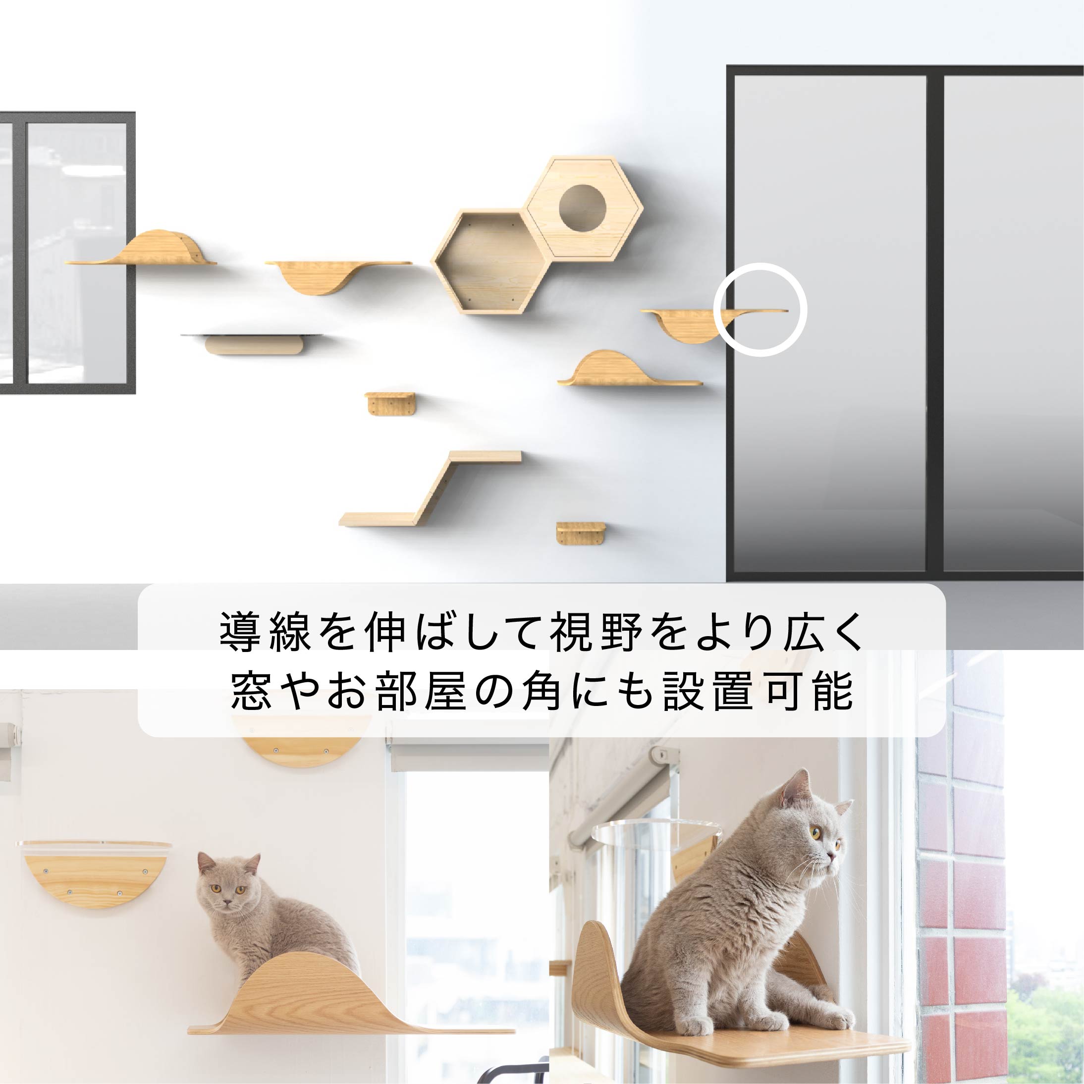 【キャットステップ】MYZOO-STINGRAY